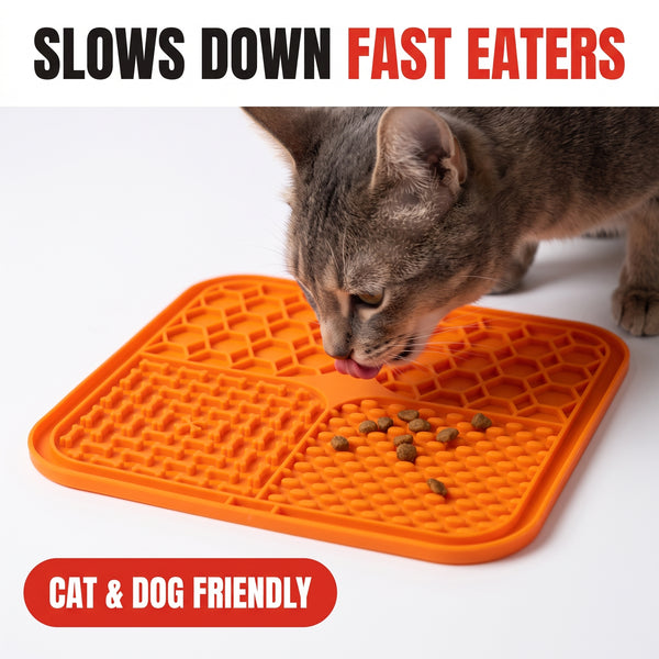 Troveze Pet Lick Mat: Hero shot cat sniffing kibble on lick mat