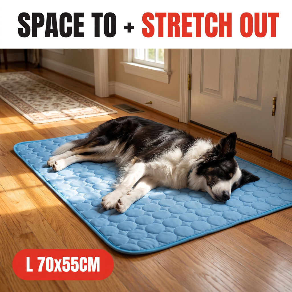 Troveze Self-Cooling Pet Mat: Medium dog sprawled on mat