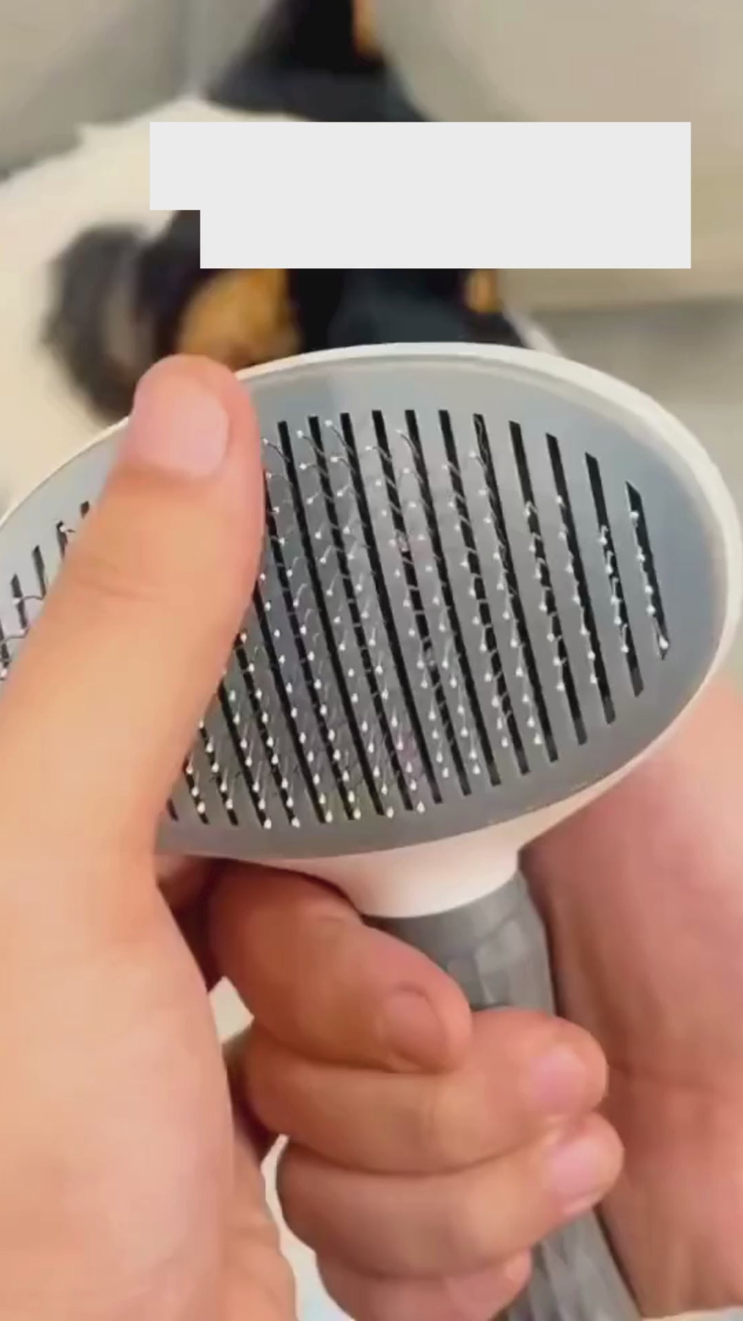 Self-Cleaning Deshedding Brush